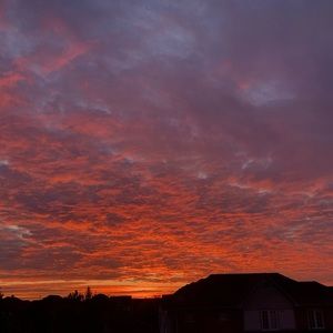 Meet your Posher, Kaya